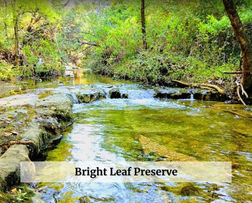 Bright Leaf Preserve