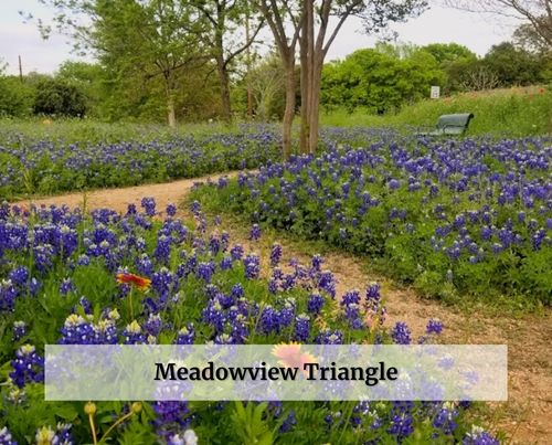 Meadowview Triangle