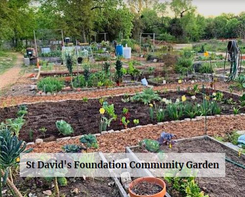 St David's Foundation Community Garden