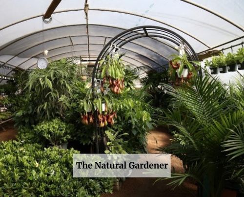 The Natural Gardener