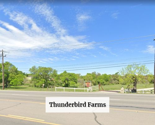 Thunderbird Farms